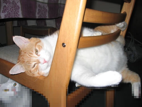 团队稳定性提升，失误控制明显改善，团队的稳定性情况怎么写