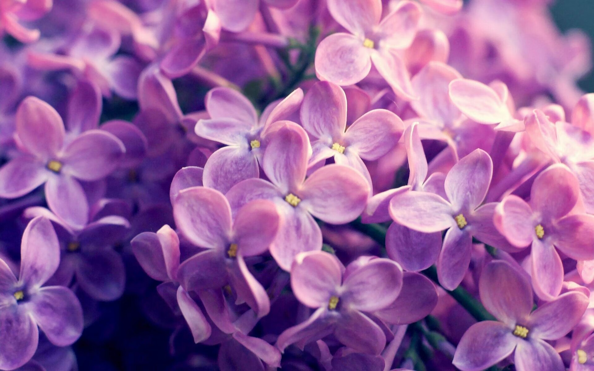 外教风格与球队文化适应难度大，外教团队对训练的要求很高