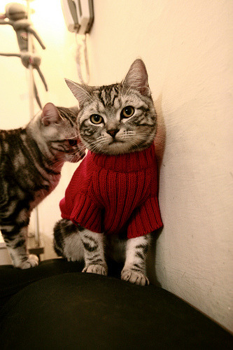 布莱顿小组传切渗透对方防线,布莱顿对莱切斯特城分析