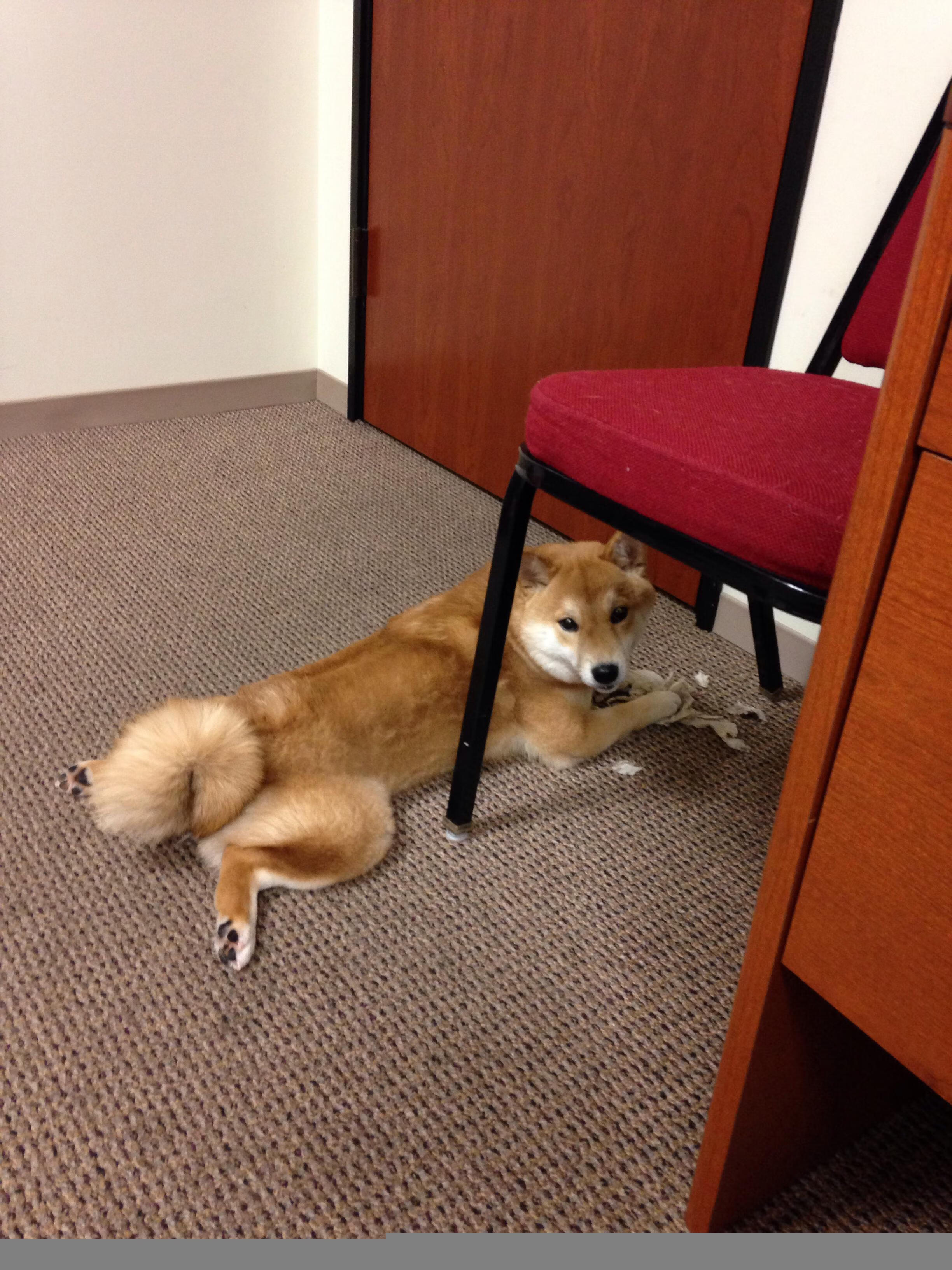 开云体育平台-中国足球俱乐部转型升级迈出关键一步，中国足球俱乐部改革