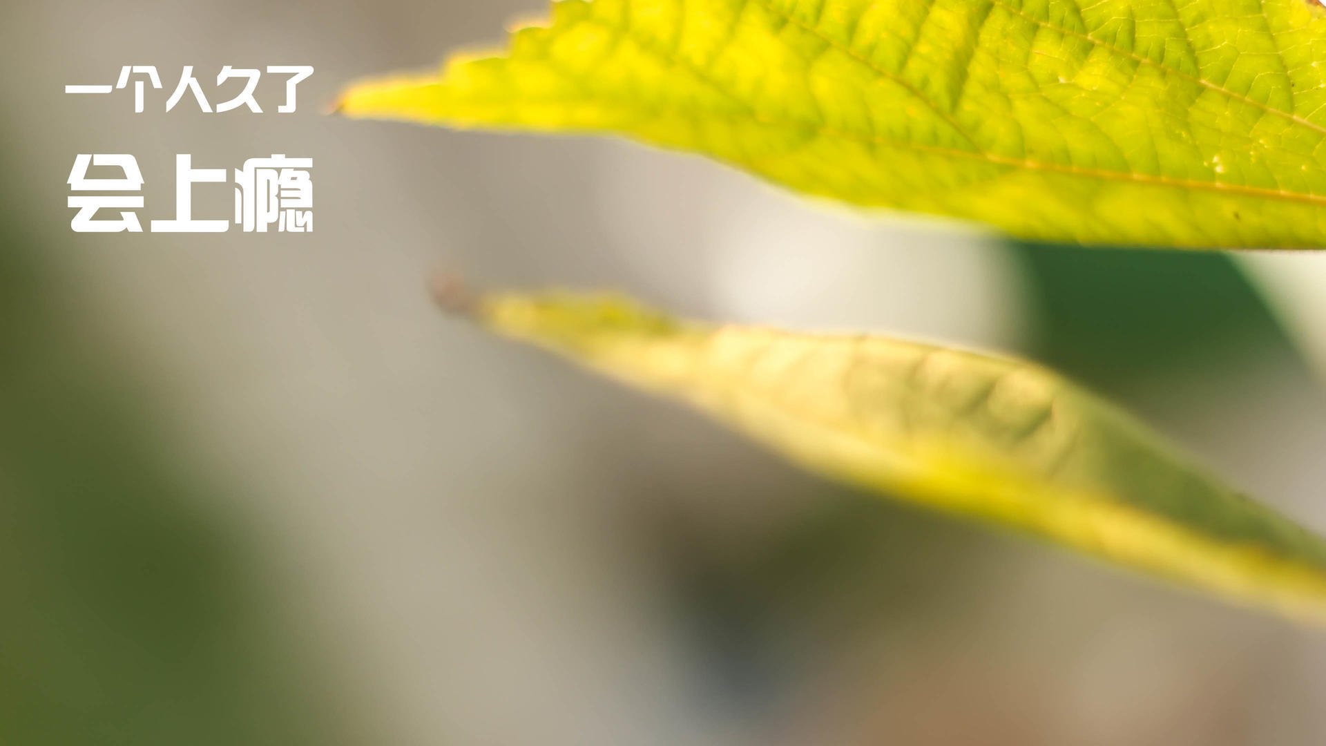 中国足球青训课程设置加入团队协作训练模块，足协 青训